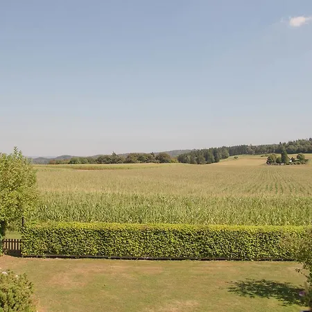 Buchenberg Vöhl